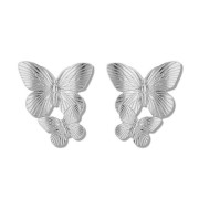 Chris Rubin - perhosten perhoset - hopea